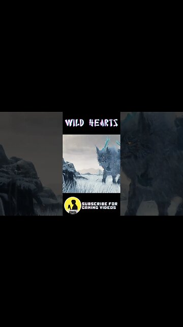 WILD HEARTS SHORTS 006