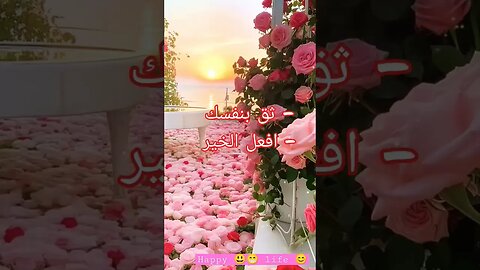 #sunrise #طبيعة #الخير #الامل #ورود #lifestyle #goodvibes