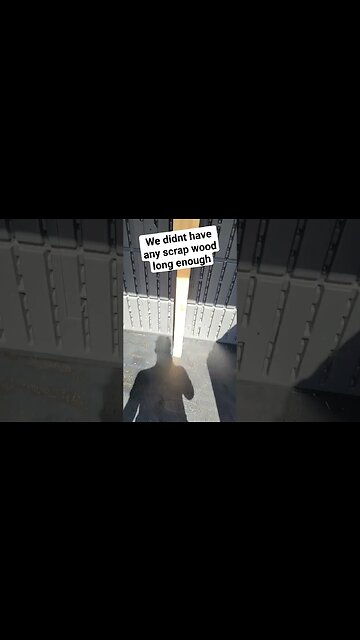 waifu successfully braced our garden shed shelf #bestwaifu #gardening