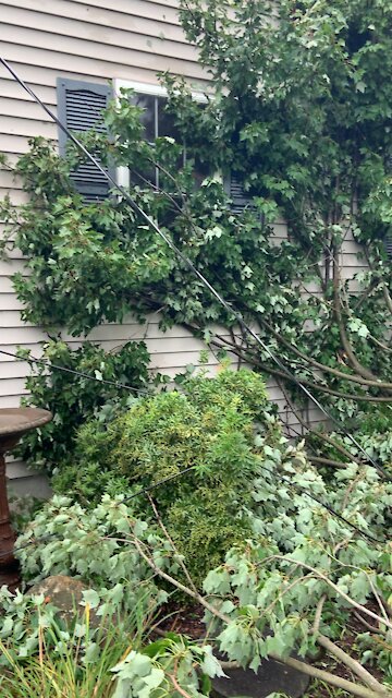 Who needs electricity, anyway