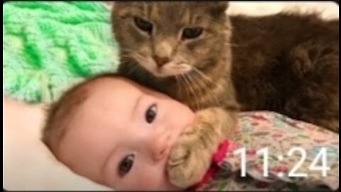 Baby and Cat Fun and Cute - Funny Baby Video 204 M de vues Fun and Cute