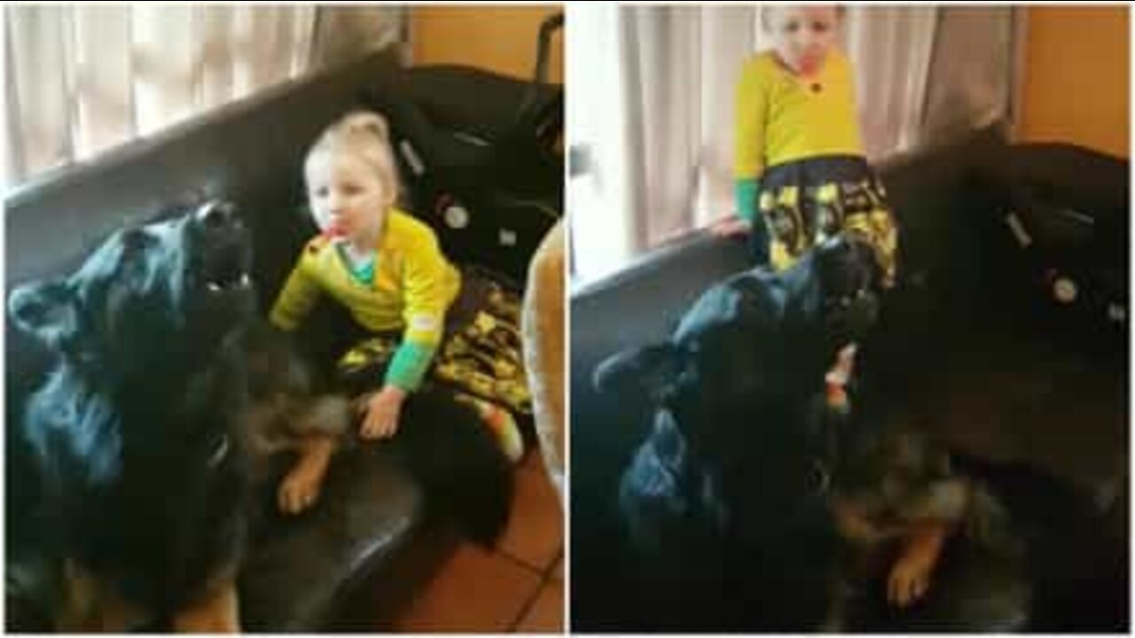 Bimba e cane formano una super mega rock band!
