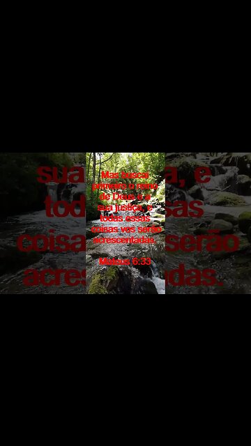 Verso Do Dia | Leitura Inspiradora Para Começar Seu Dia. | 58