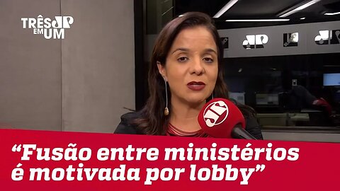 Vera Magalhães: "Fusão entre os Ministérios da Agricultura e Meio Ambiente é motivada por lobby"