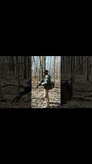 Getting good in the woods today!