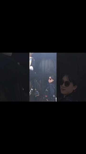 posing the guard is so cool #horseguardsparade