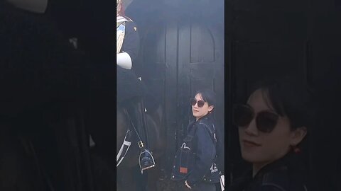 posing the guard is so cool #horseguardsparade