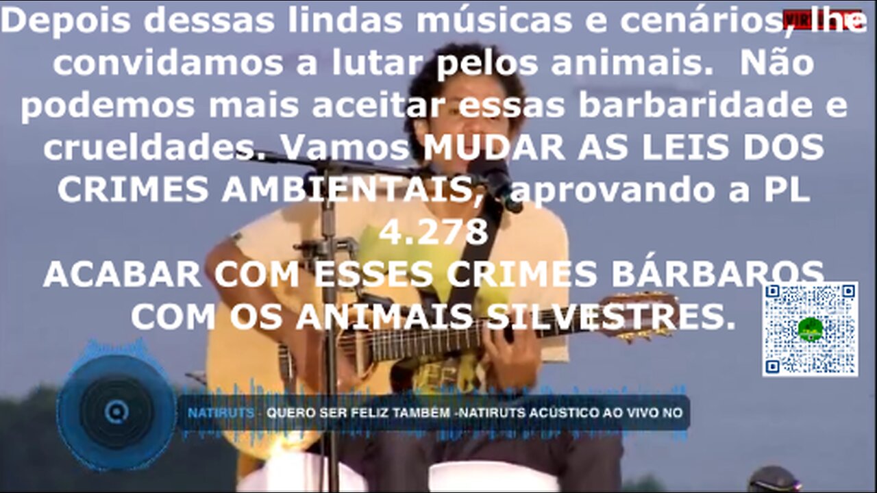 🔵 Natiruts e Sunflower Jam pela Defesa dos Animais.