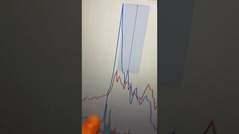 SHIBA INU VS TESLA #shorts #crypto