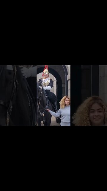 guard shouts at tourist holding Reins #horseguardsparade