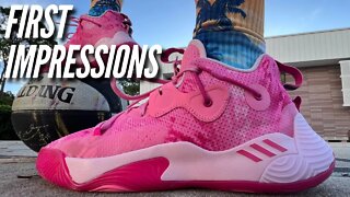 Adidas Harden Stepback 3 - First Impressions & On Court Review