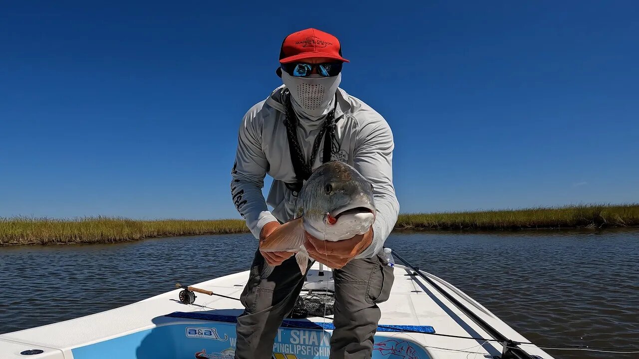 Book a trip to fly fish for redfish in Louisiana! #shorts