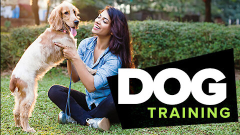 Teach your dog to go to bed in COMMAND