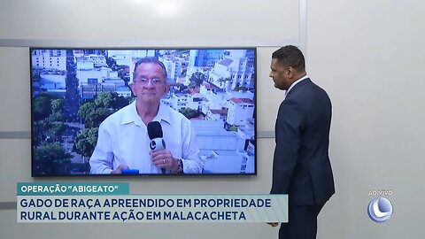 Operação Abigeato: Gado de Raça Apreendido em Propriedade Rural durante Ação em Malacacheta.