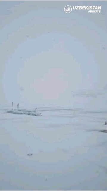 🇺🇿 Attention passengers and greeters!