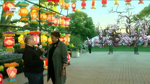 China Lights underway at Boerner Botanical Garden