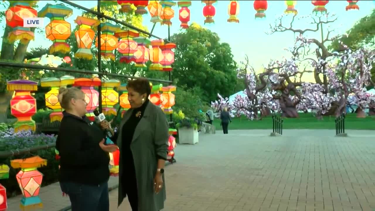 China Lights underway at Boerner Botanical Garden