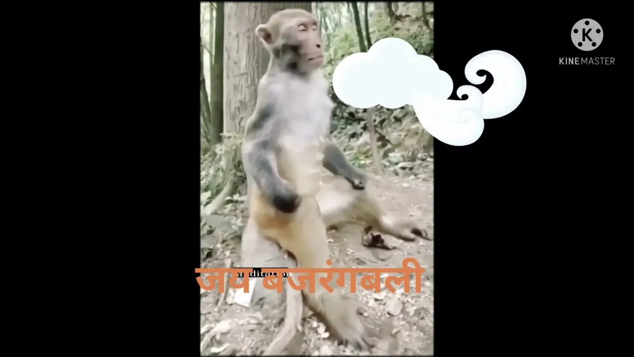 जय बजरंग बली** योग निद्रा में जय हो|| please subscribe