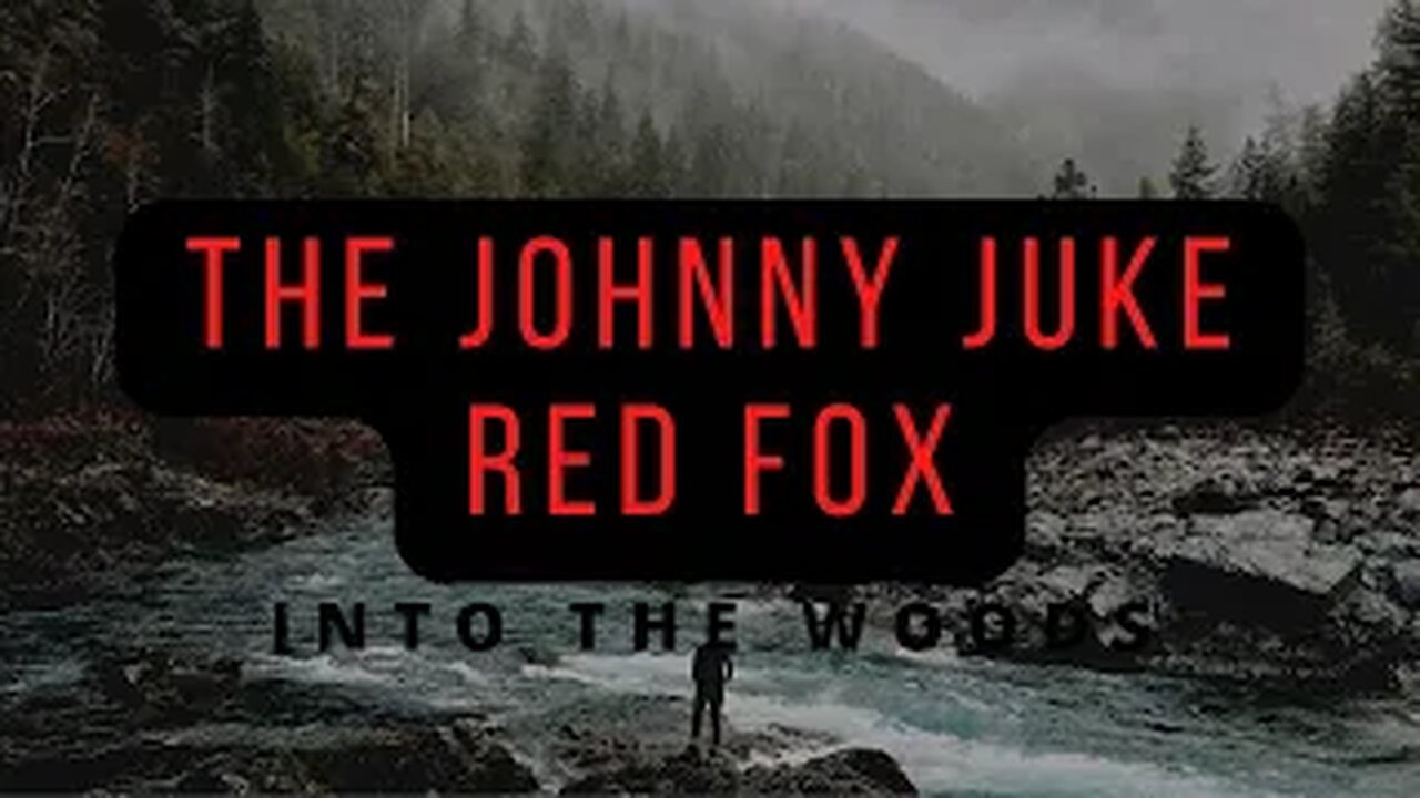 Into The Woods - The Johnny Juke Red Fox and Coffee 2021!