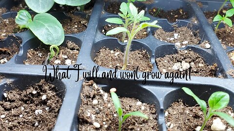 What I will & Won't Grow again #5mustsandneveragains @Wicked Awesome Gardening