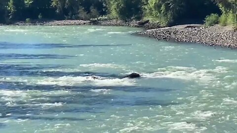 Beautiful Rivers of Canada