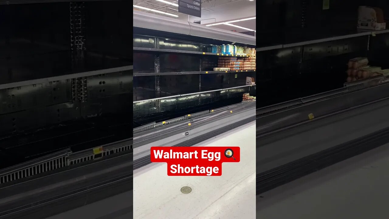 Walmart egg 🍳 Shortage. #shorts, #eggshortage, #prepperboss