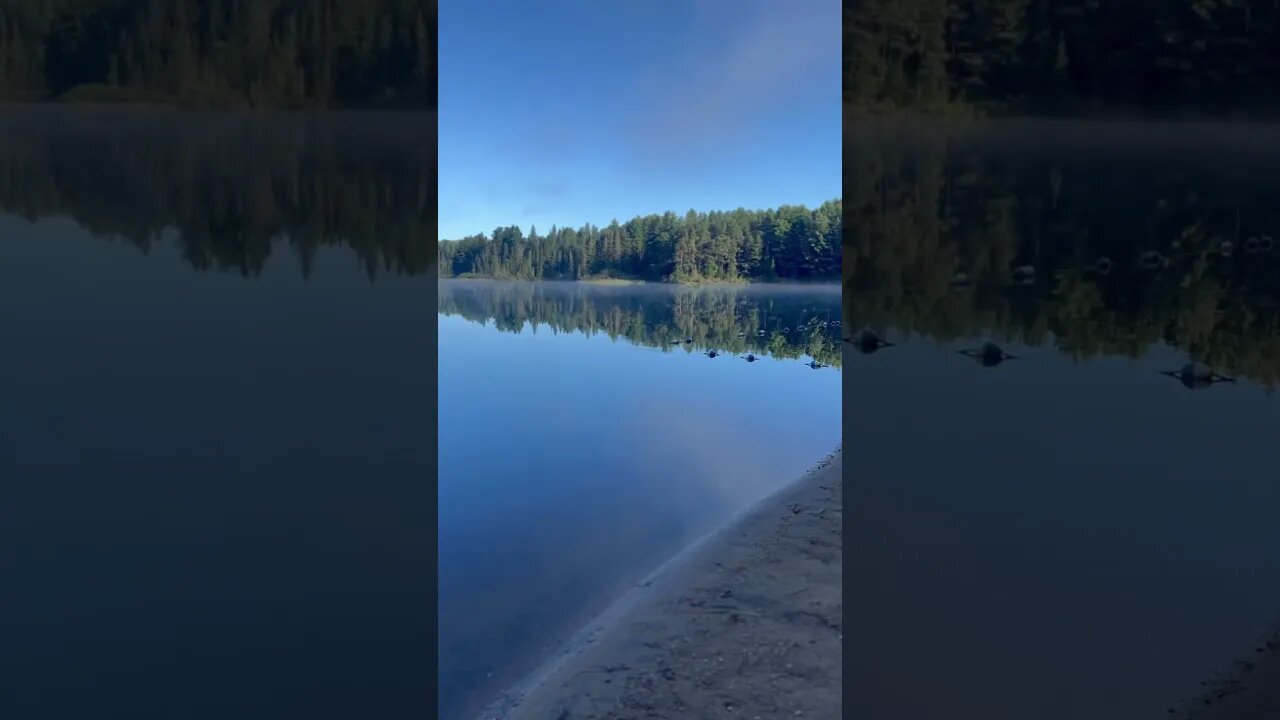 Morning in Algonquin Canada🇨🇦#camping #lake #canada #travel #naturalwonder