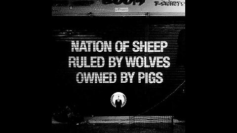 Americans makes the perfect sheep