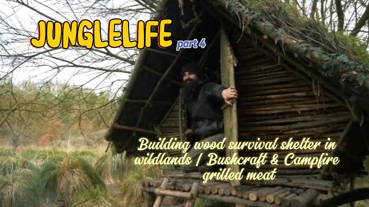 Building wood survival shelter in wildlands | Bushcraft & Campfire grilled meat last part