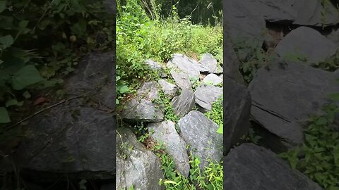 Scanning rocks for COPPERHEADS #reptiles #snakes #animals #venom #wildlife #herpetology #copperhead