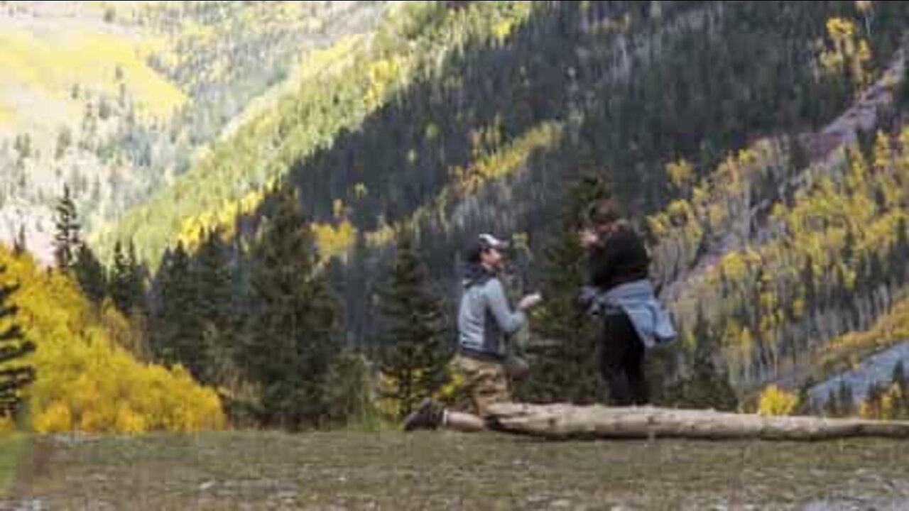 Il time-lapse di una richiesta di matrimonio