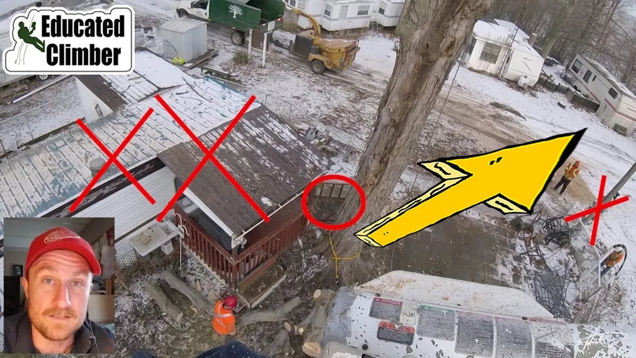 Felling a Peg in a Tight Spot with 2:1 Mechanical Advantage | Arborist Pulling Trees with Trucks