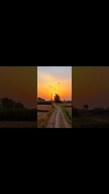 village life | Morning vibes #shorts #villagelife #shortsfeed
