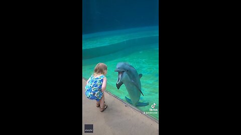 Little girl talking with a dolphin 🐬