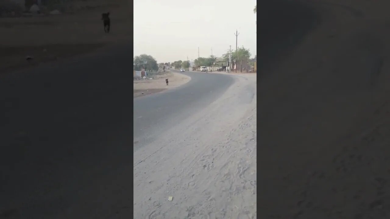 #rajasthan trip #viral #shorts #jayveeru
