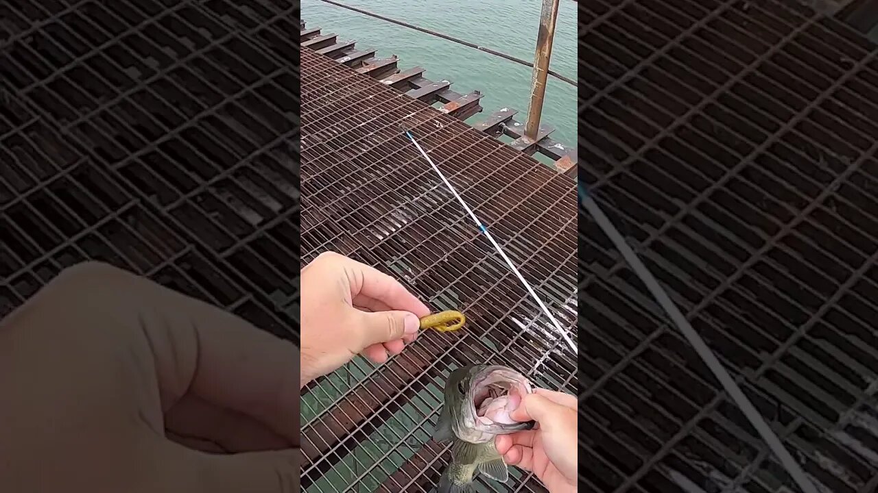 Pier fishing on Lake Erie!