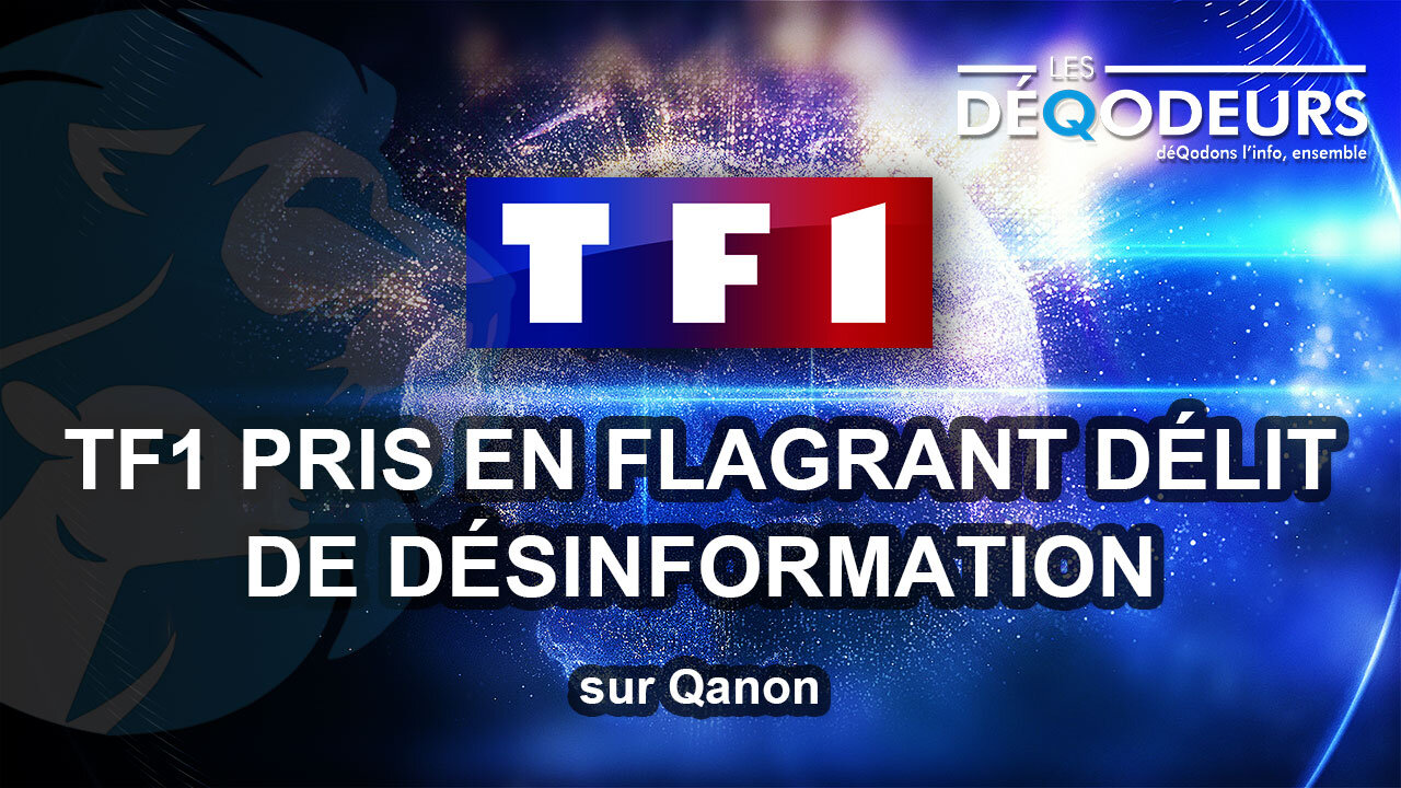 TF1 pris en flagrant délit de désinformation bis