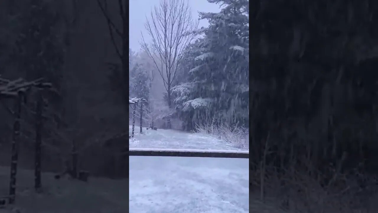 Noooooooooooo