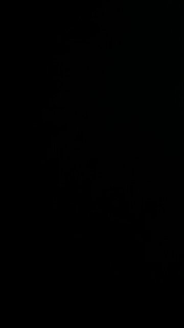 How to pronounce successful