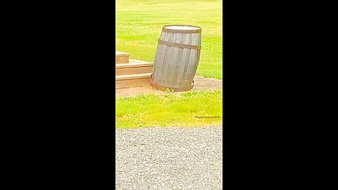 A Barrel in past memory