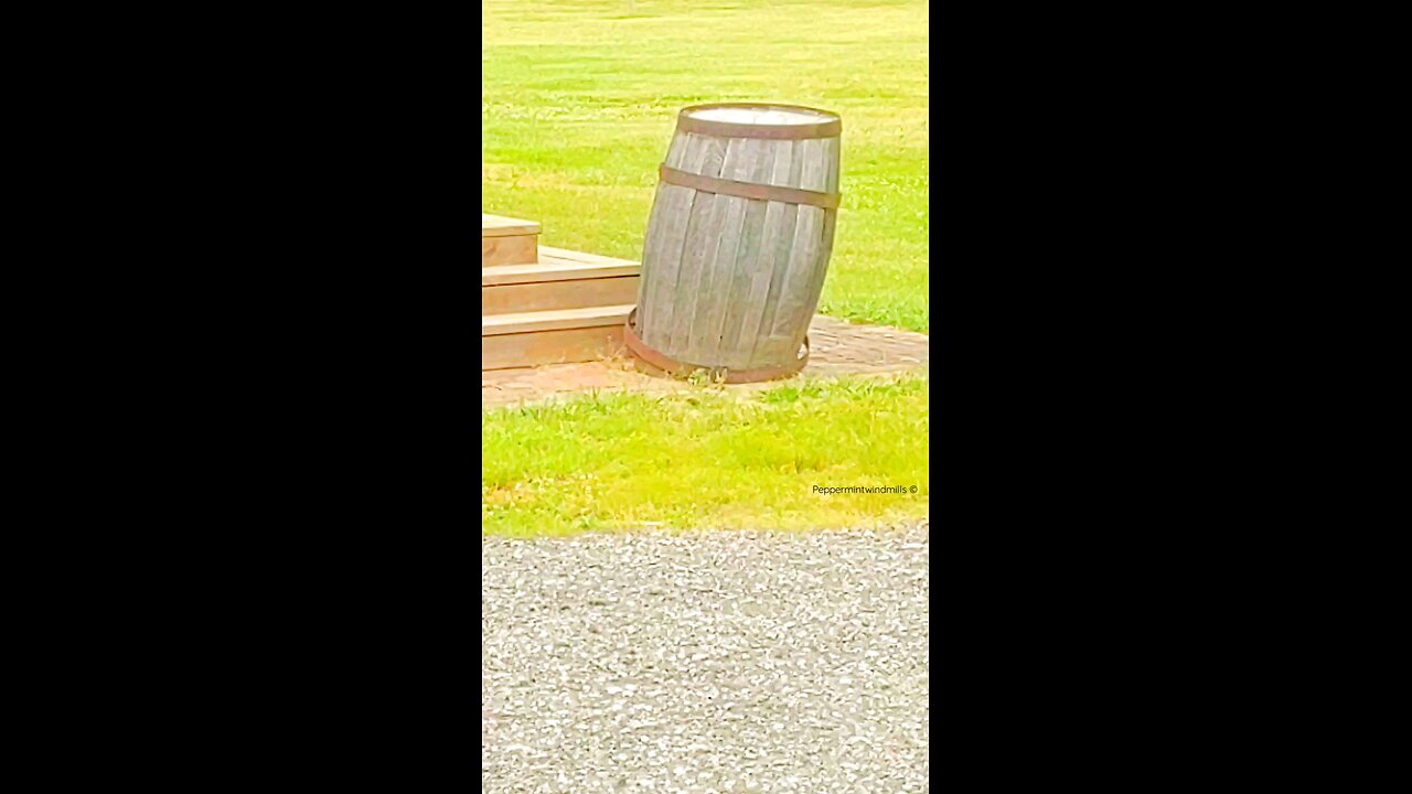 A Barrel in past memory