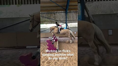 What do you think? #viral #equestrian #horseriding #youtubeshorts #shortsfeed #jumping #palamino #fy