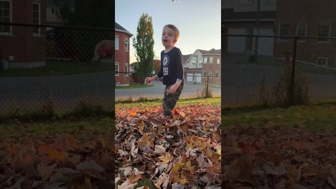 Fall leaves 🍁 Fun!