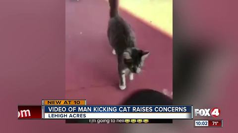 Man posts video of kicking cat on Snapchat