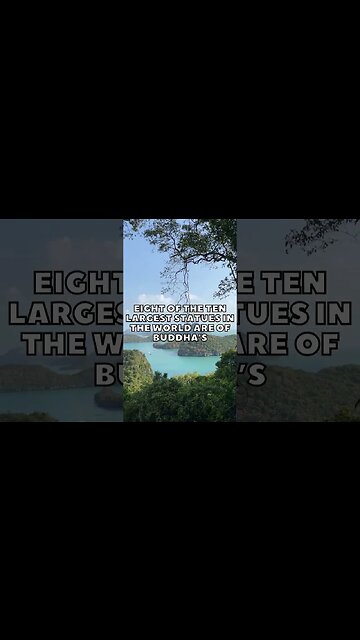 Incredible Random Facts That Will Expand Your Mind! [2023] #shorts #facts #viralshorts #fyp #life