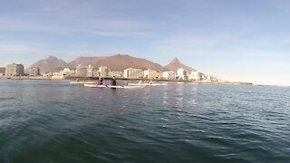 SOUTH AFRICA - Cape Town - Table Bay Kayaking (Video) (wy2)