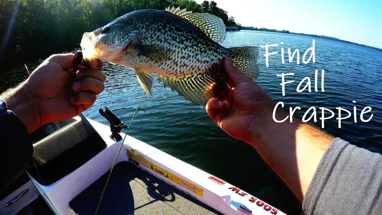 Find Fall Crappie (Top 5 fishing tips) Ep. 21 of 30 day challenge