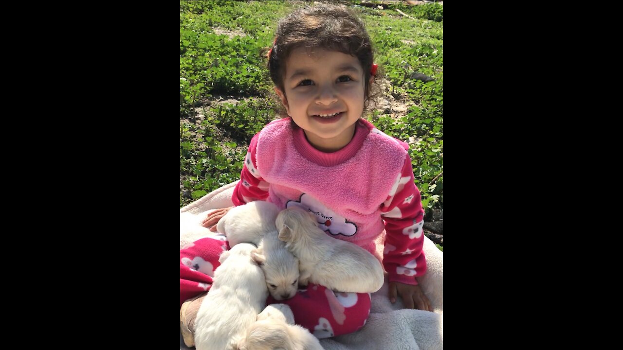 How happy this girl with puppies