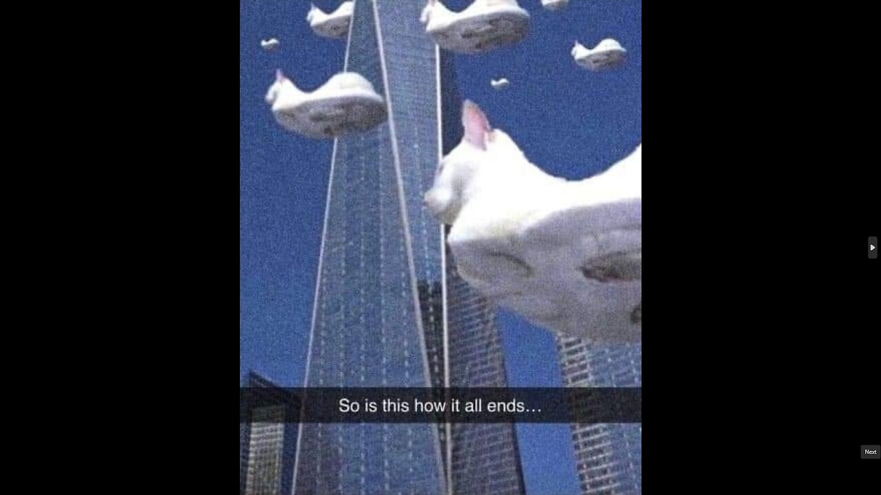 Chaotic Memes 12