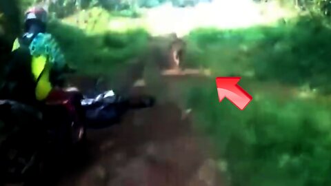 Mysterious creature I suddenly encountered while riding a motorcycle with my friends [Conspiracy]